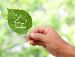 Green home concept